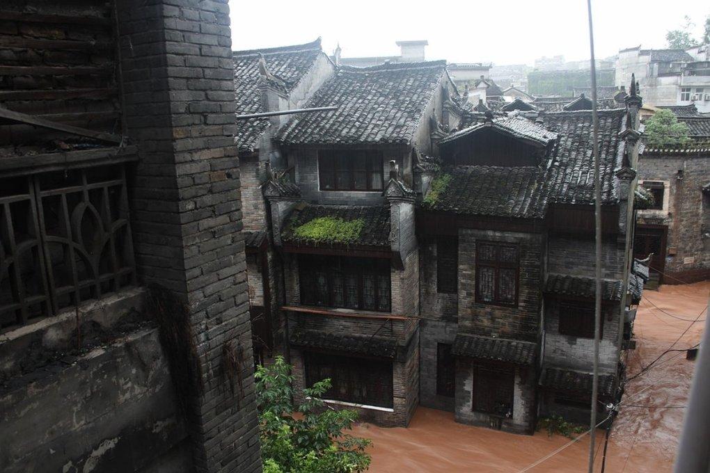 拯救蓝色小鸟