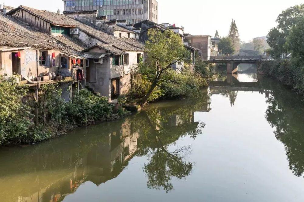 杀出重围人类分裂