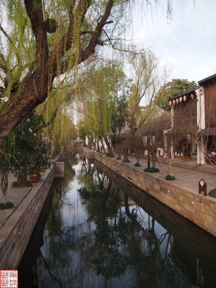 小红帽的冒险之旅